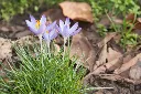 unsplash_vJoetUVUtcU_salep.webp