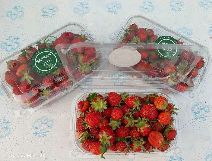 MEYVE-CILEK-2.webp