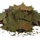 Çınar Yaprağı 30 gr
